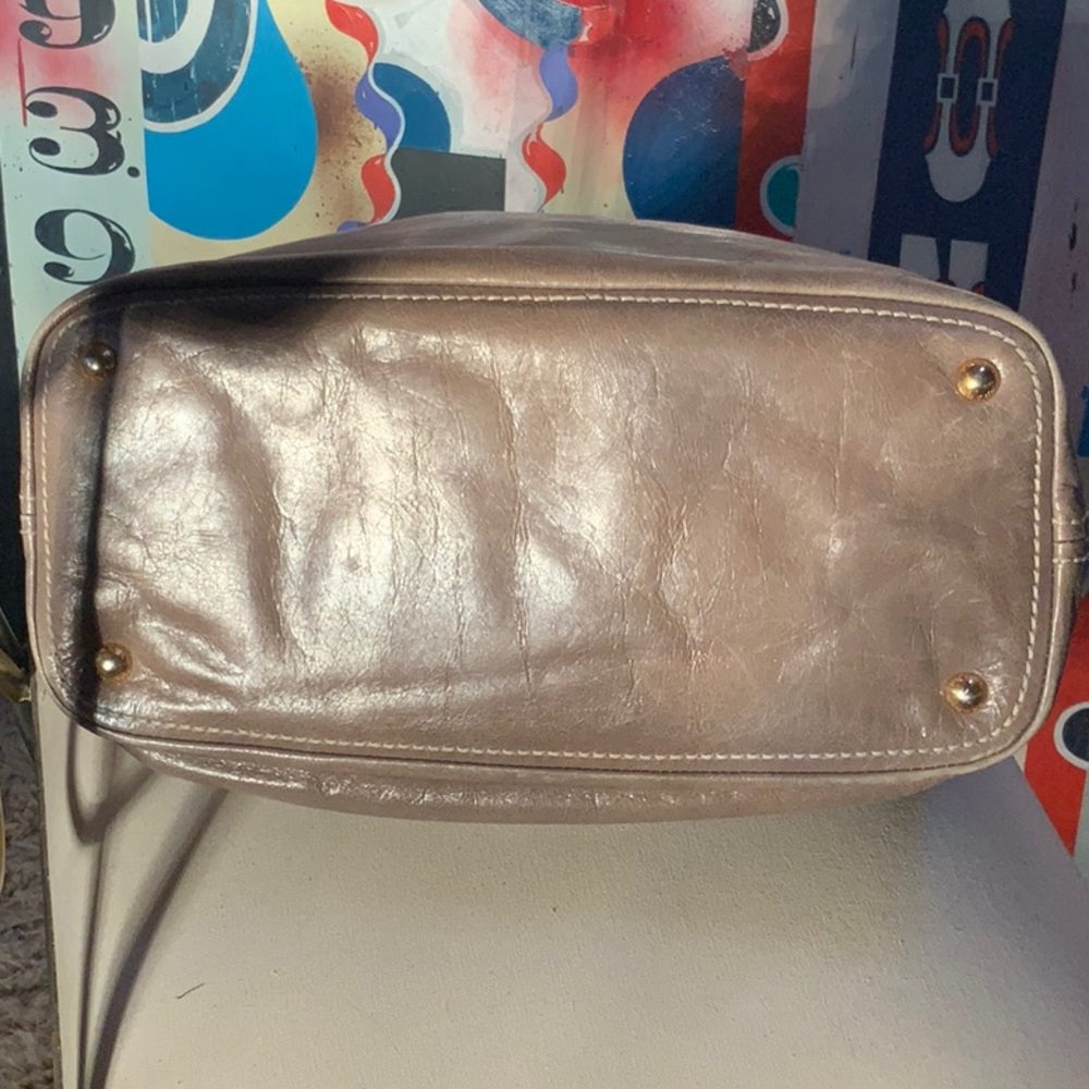 Host Pic✨🤎Prada Vitello Shine Leather Hobo Taupe - Picture 9 of 16